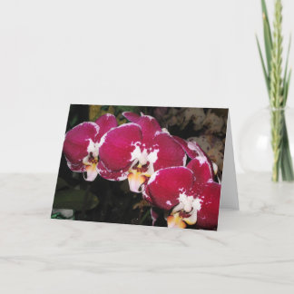 Carte de voeux Floral