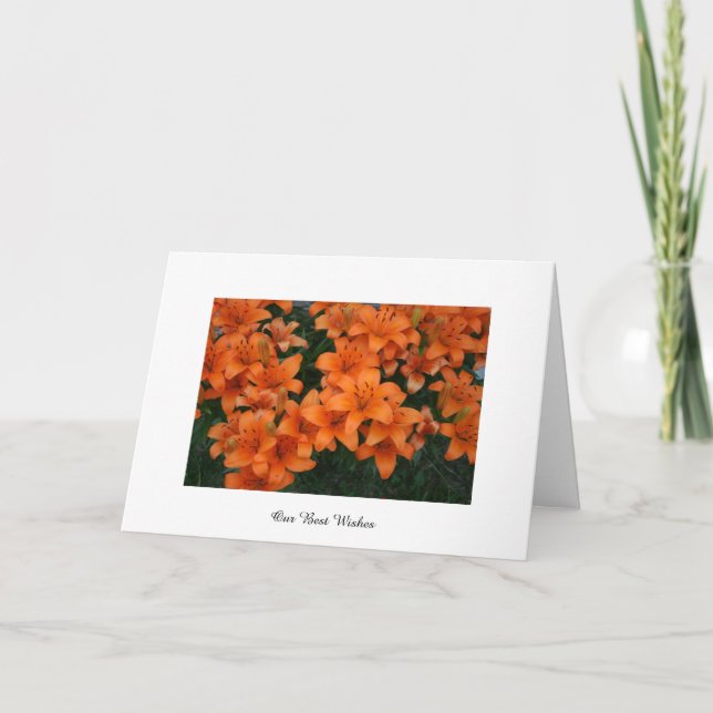Carte de voeux Floral Meilleurs voeux (Devant)