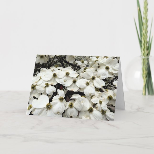 Carte de voeux florale de fleur de cornouiller (Devant)