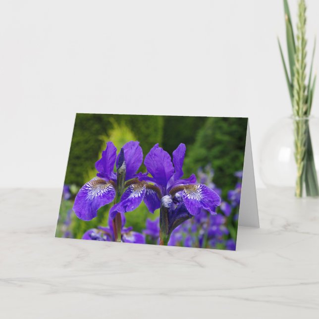 Carte de voeux florale, intérieur vide (Devant)