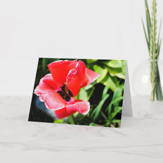 Carte de vœux florale je t'aime