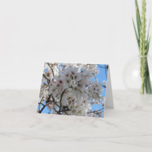 Carte de voeux Fluffy White Cherry Blossom