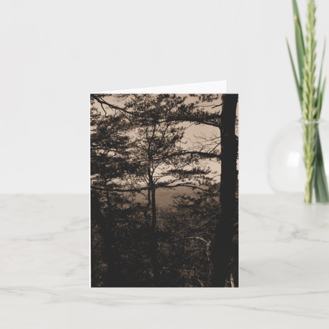 Carte de voeux Forest Nature Paysage (Devant)