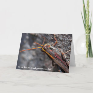 Carte de voeux Garden Locust Grasshopper