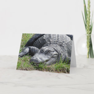 Carte de voeux Gator
