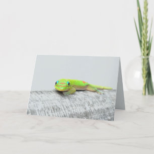 Carte de voeux Gecko all occasion