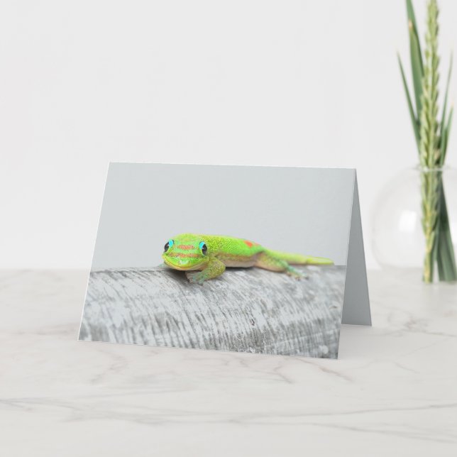 Carte de vœux Gecko pour toutes occasions (Devant)
