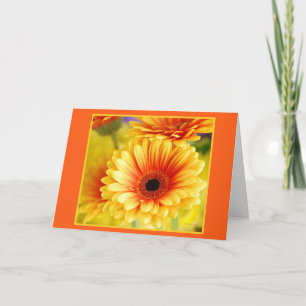 Carte de voeux Gerbera Daisy