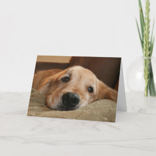 Carte de voeux Golden Retriever Miss You