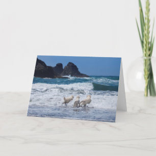 Carte de voeux Golden Retrivers