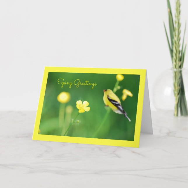 Carte de voeux Goldfinch jaune (Devant)