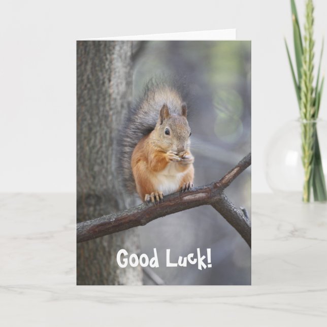 Carte de voeux Good Luck Red Squirrel (Devant)