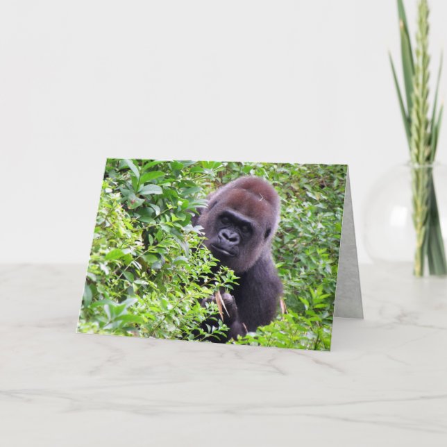 Carte de voeux Gorilla (Devant)