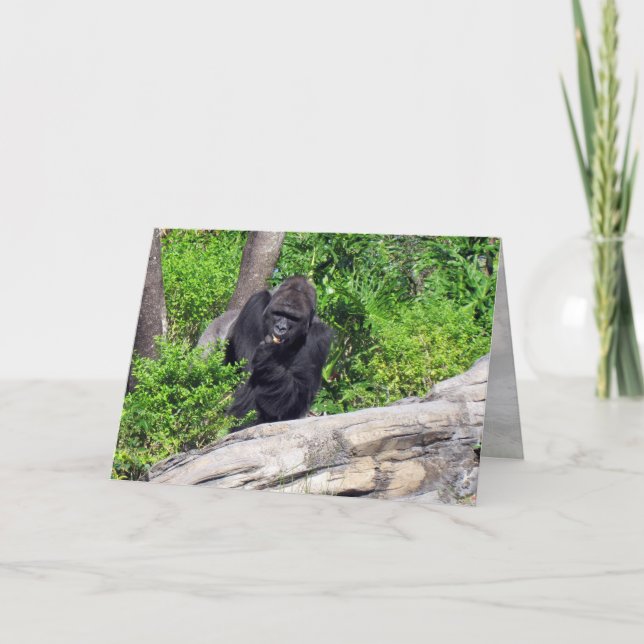 Carte de voeux Gorilla (0533) (Devant)