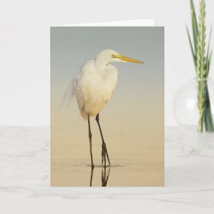 Carte de voeux Great Egret Walking