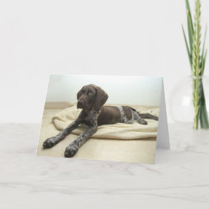 Carte de voeux grisâtre brillante