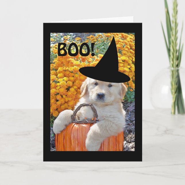 Carte de voeux Halloween Funny Puppy Witch (Devant)