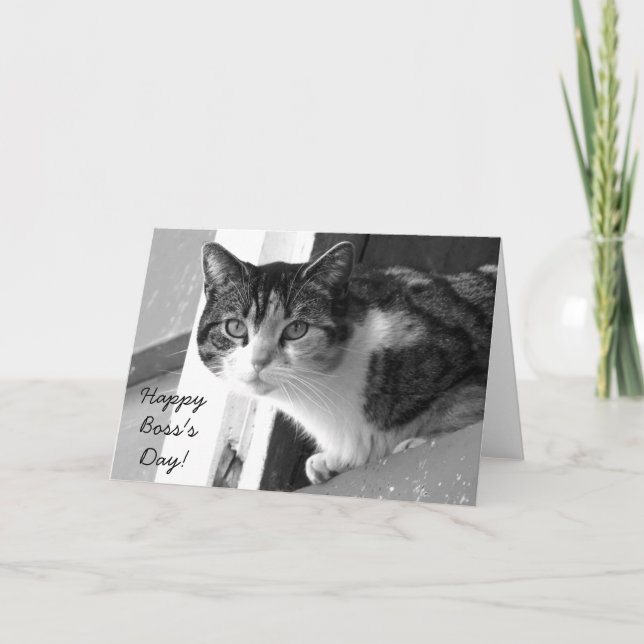 Carte de voeux Happy Boss's Day Cat (Devant)