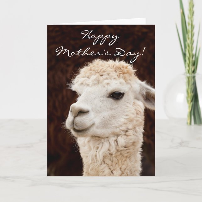 Carte de voeux Happy Mother's Day llama (Devant)