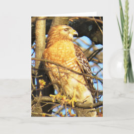 Carte de voeux Hawk à épaulettes