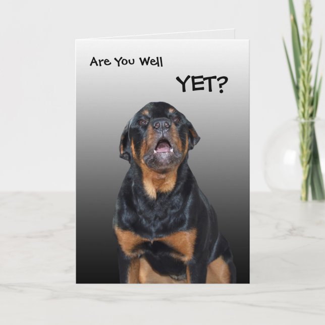 Carte de voeux Heidi "Get Well Bientôt" (Devant)