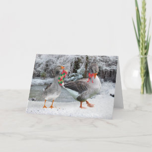 Carte de voeux "Henri & Colette"