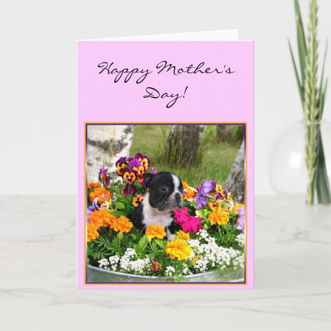 Carte de voeux heureuse de Boston Terrier du jour (Devant)