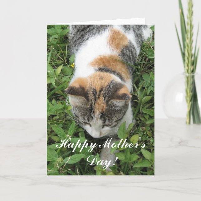 Carte de voeux heureuse de chat de calicot du jour (Devant)