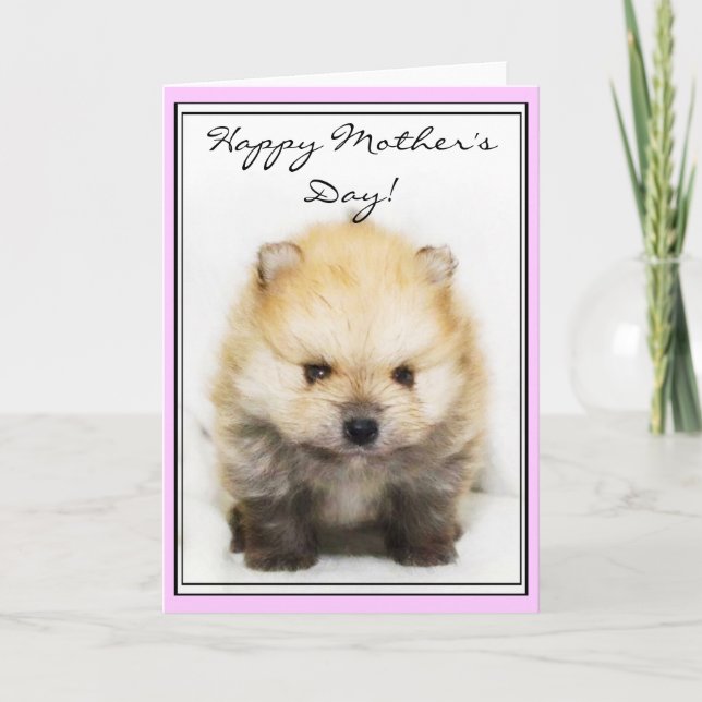 Carte de voeux heureuse de chiot de Pomeranian du (Devant)