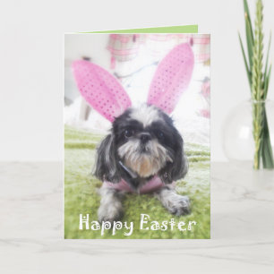 Carte de voeux heureuse de lapin de Pâques Shitzu