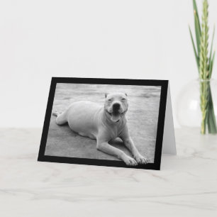 Carte de voeux heureuse de pitbull