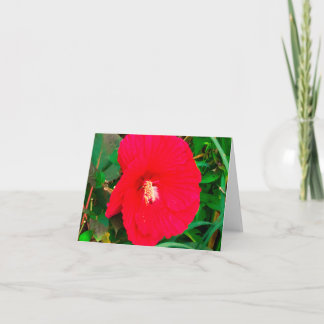 Carte de vœux Hibiscus rouge