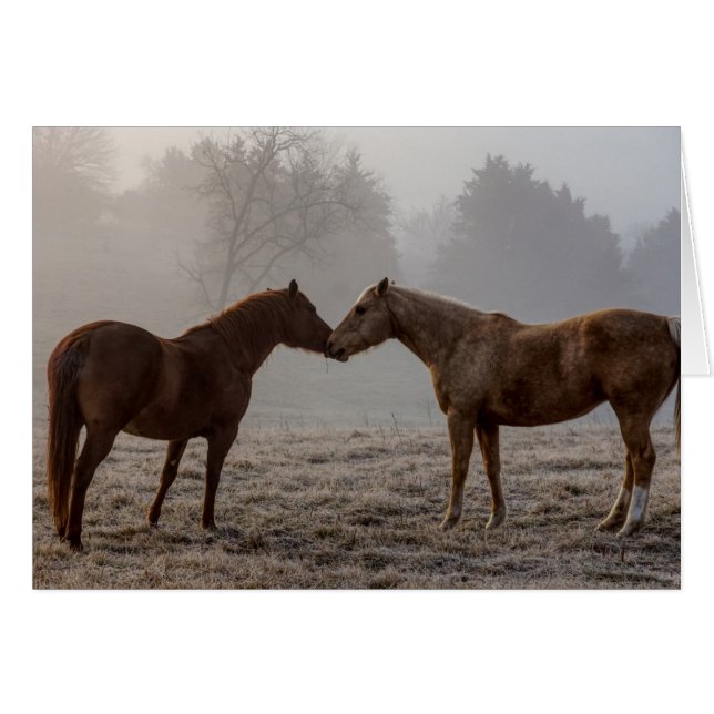 Carte de voeux Horse Love (Devant Horizontal)