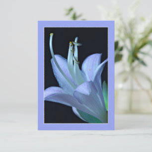 Carte de voeux Hosta Flower Ornate Blue & Purple