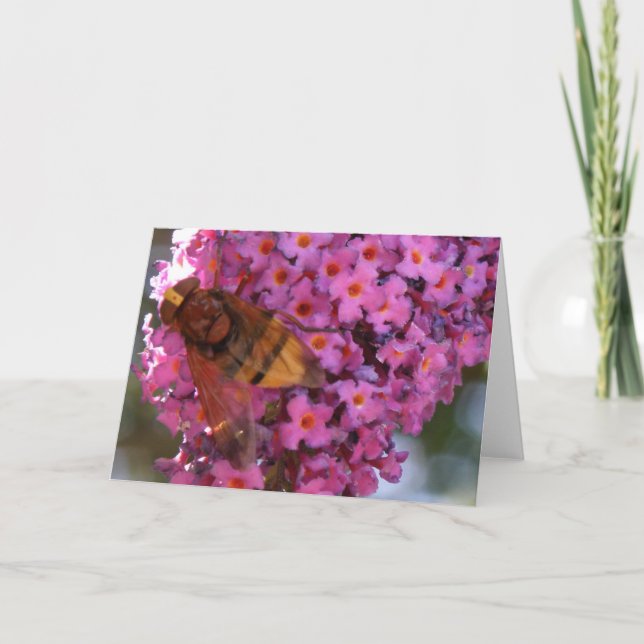 Carte de voeux Hoverfly (Devant)