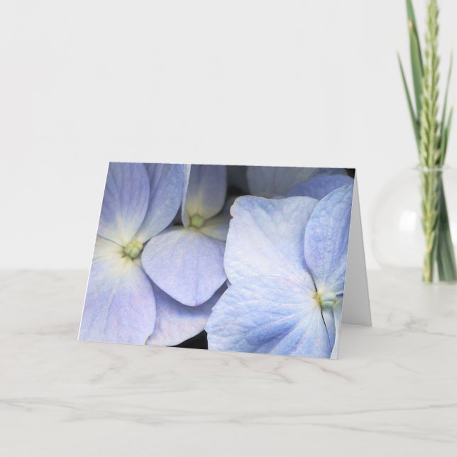Carte de voeux Hydrangea Petals (Devant)