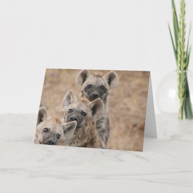 Carte de voeux Hyenas (Devant)