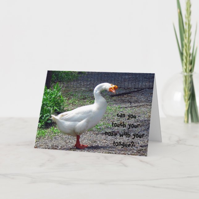 Carte de voeux idiote d'anniversaire d'oie (Devant)