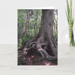 Carte de voeux indienne Artifact Custom Louisiana