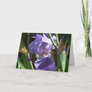 Carte de voeux Iris Garden