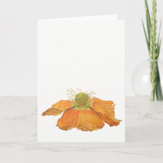 Carte de voeux islandaise orange de pavot 5" x 7"