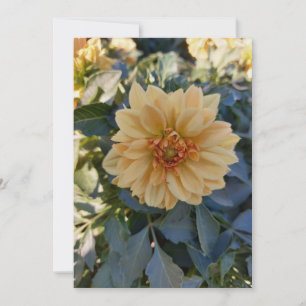 Carte de voeux jaune Dahlia Été Fleur Vierge