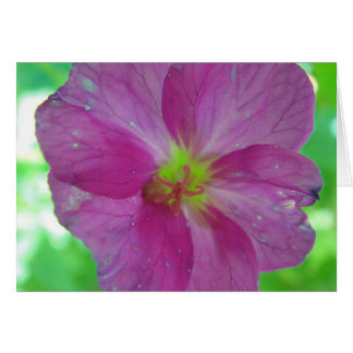 Carte de voeux jaune rose fleur de jeu, en blanc