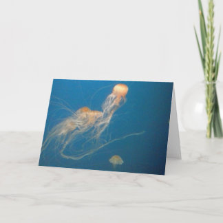 Carte de voeux JellyFish