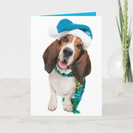 Carte de vœux Joyeux Pawliday
