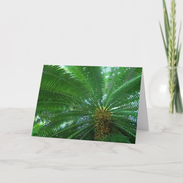 Carte de voeux Jungle Palm (Devant)