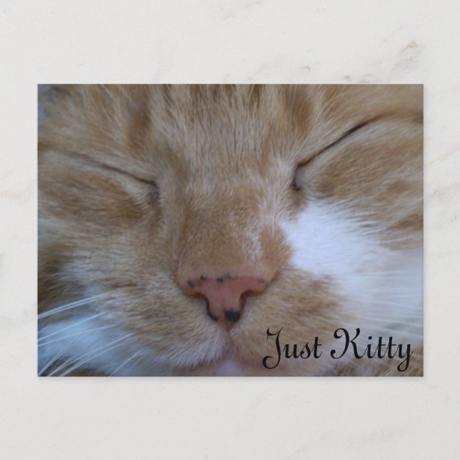 Carte de voeux Just Kitty (Devant)