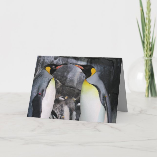 Carte de voeux King Penguins in Love (Devant)