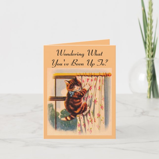 Carte de voeux Kitten Escalade rideau (Devant)