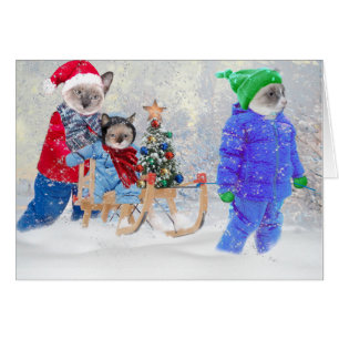 Carte de voeux Kittens Winter Wonderland